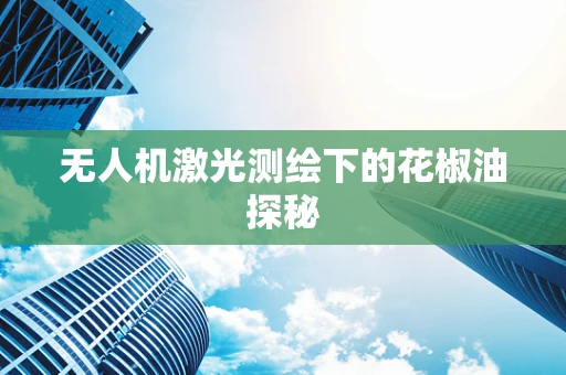 无人机激光测绘下的花椒油探秘