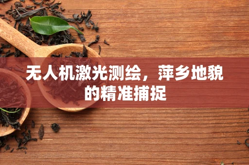 无人机激光测绘，萍乡地貌的精准捕捉