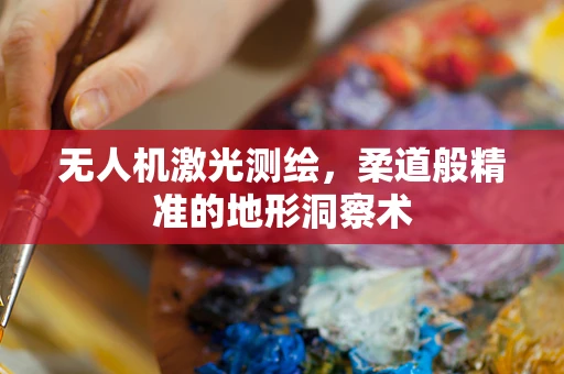 无人机激光测绘，柔道般精准的地形洞察术