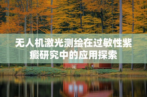 无人机激光测绘在过敏性紫癜研究中的应用探索