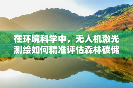 在环境科学中，无人机激光测绘如何精准评估森林碳储量？
