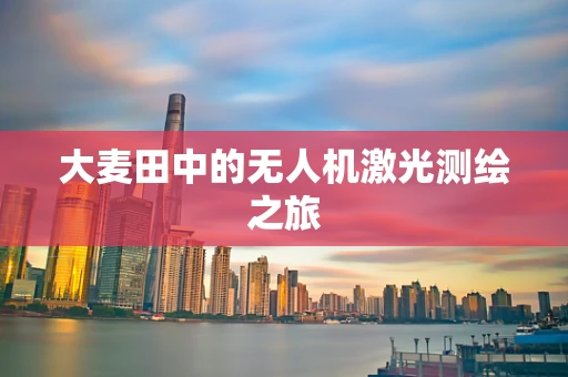大麦田中的无人机激光测绘之旅