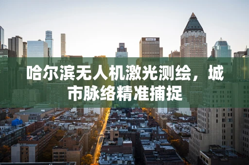 哈尔滨无人机激光测绘，城市脉络精准捕捉
