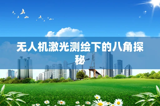 无人机激光测绘下的八角探秘