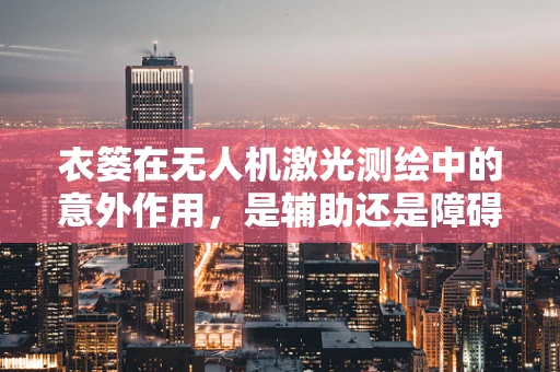 衣篓在无人机激光测绘中的意外作用，是辅助还是障碍？