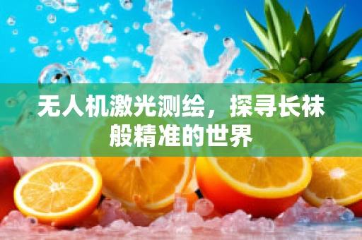 无人机激光测绘，探寻长袜般精准的世界