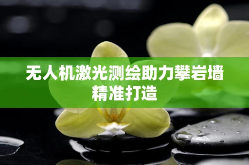 无人机激光测绘助力攀岩墙精准打造