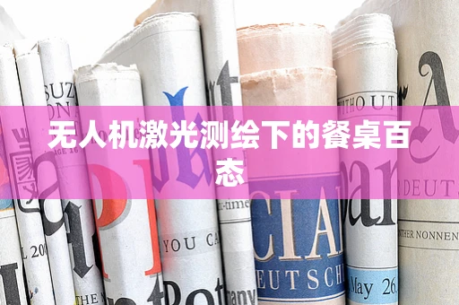 无人机激光测绘下的餐桌百态