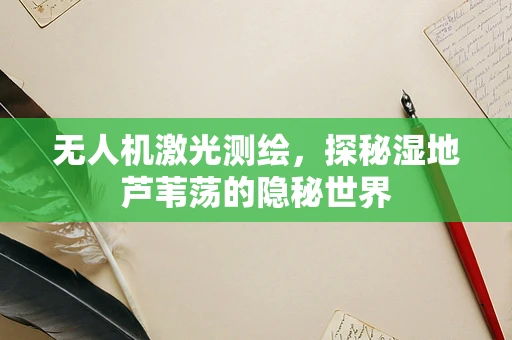 无人机激光测绘，探秘湿地芦苇荡的隐秘世界