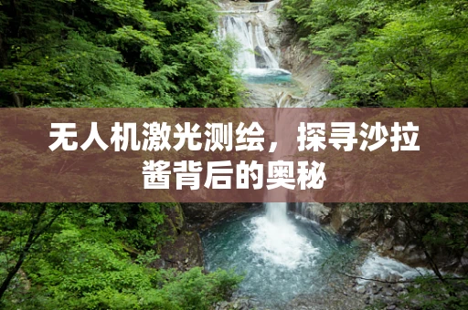 无人机激光测绘，探寻沙拉酱背后的奥秘