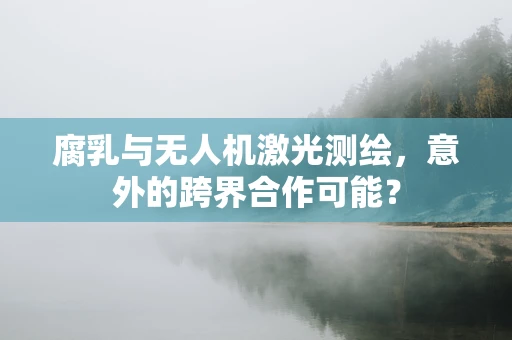 腐乳与无人机激光测绘，意外的跨界合作可能？