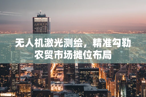 无人机激光测绘，精准勾勒农贸市场摊位布局