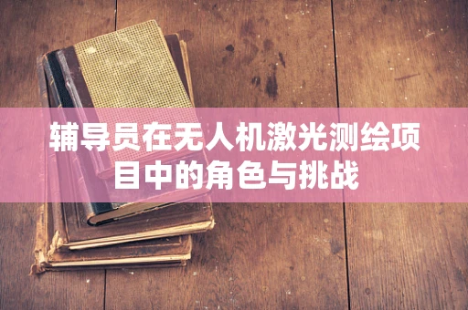 辅导员在无人机激光测绘项目中的角色与挑战
