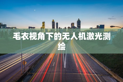 毛衣视角下的无人机激光测绘