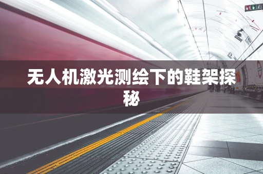 无人机激光测绘下的鞋架探秘