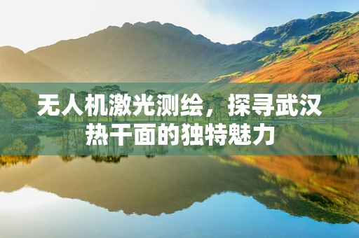 无人机激光测绘，探寻武汉热干面的独特魅力