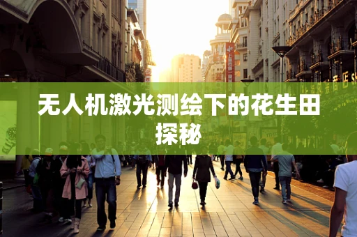 无人机激光测绘下的花生田探秘
