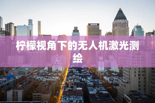 柠檬视角下的无人机激光测绘