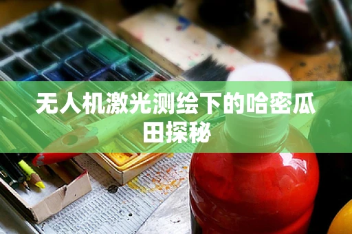 无人机激光测绘下的哈密瓜田探秘