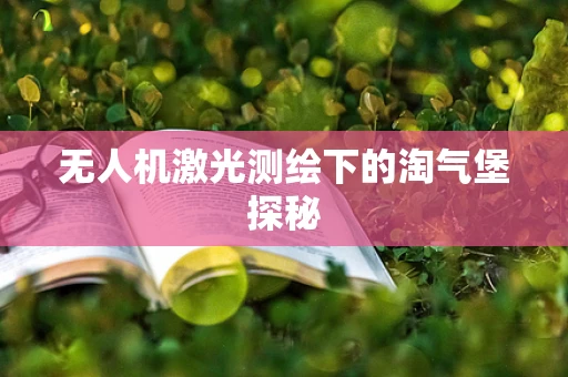 无人机激光测绘下的淘气堡探秘