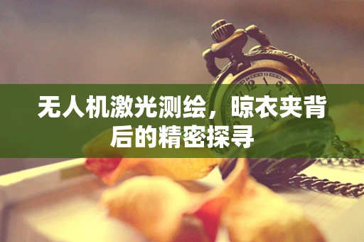 无人机激光测绘，晾衣夹背后的精密探寻