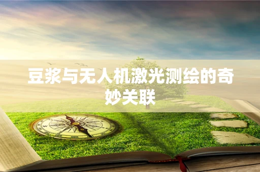 豆浆与无人机激光测绘的奇妙关联