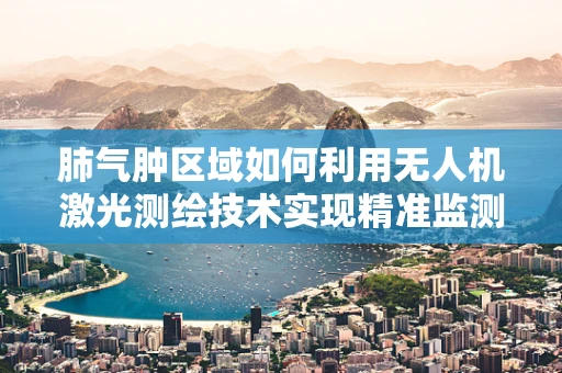 肺气肿区域如何利用无人机激光测绘技术实现精准监测？