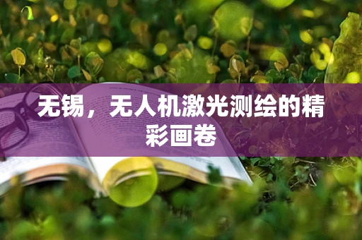 无锡，无人机激光测绘的精彩画卷