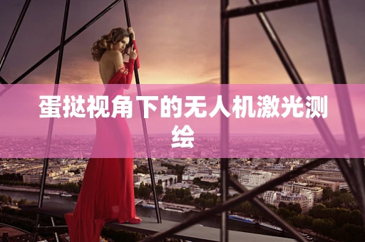 蛋挞视角下的无人机激光测绘