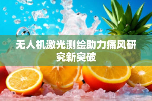 无人机激光测绘助力痛风研究新突破
