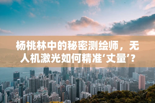 杨桃林中的秘密测绘师，无人机激光如何精准‘丈量’？