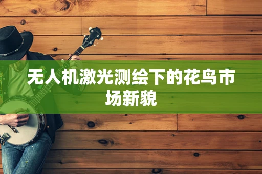 无人机激光测绘下的花鸟市场新貌