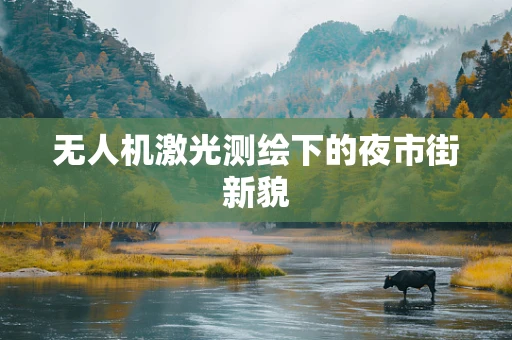 无人机激光测绘下的夜市街新貌