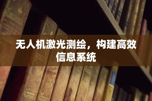 无人机激光测绘，构建高效信息系统