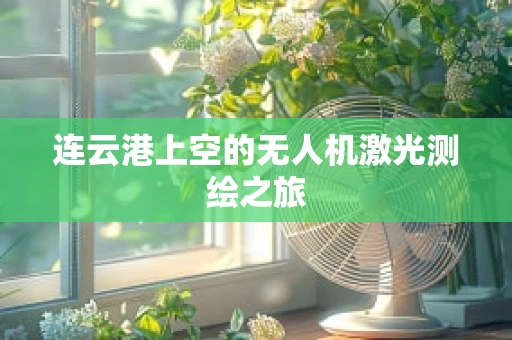 连云港上空的无人机激光测绘之旅