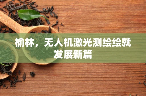 榆林，无人机激光测绘绘就发展新篇