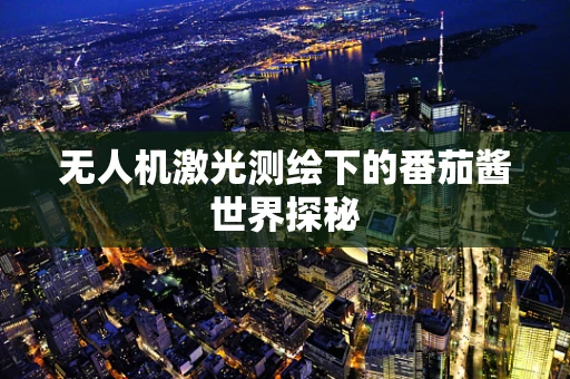 无人机激光测绘下的番茄酱世界探秘