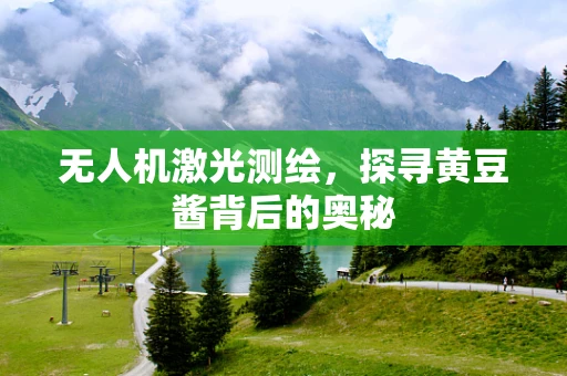 无人机激光测绘，探寻黄豆酱背后的奥秘