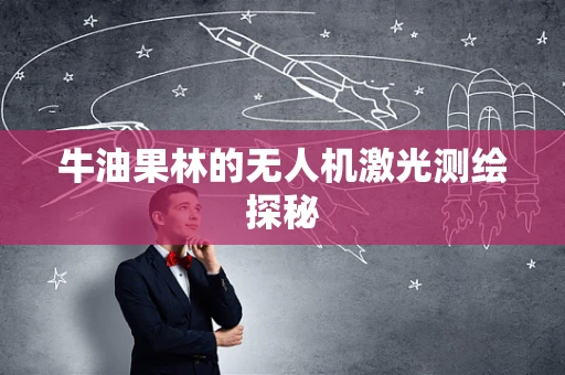 牛油果林的无人机激光测绘探秘