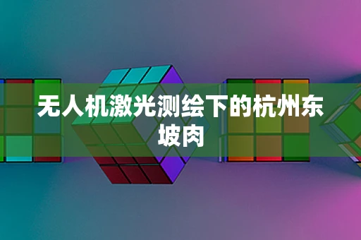 无人机激光测绘下的杭州东坡肉
