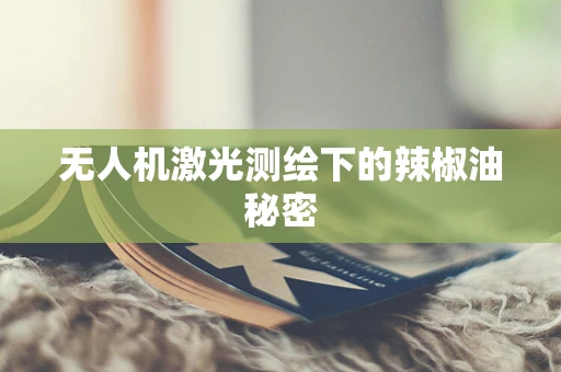 无人机激光测绘下的辣椒油秘密