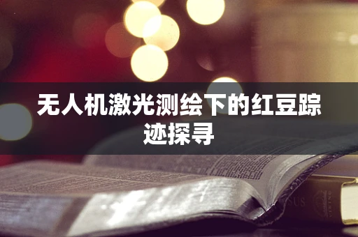 无人机激光测绘下的红豆踪迹探寻