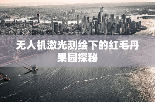 无人机激光测绘下的红毛丹果园探秘