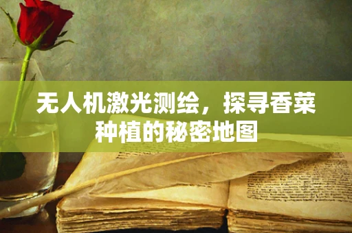 无人机激光测绘，探寻香菜种植的秘密地图