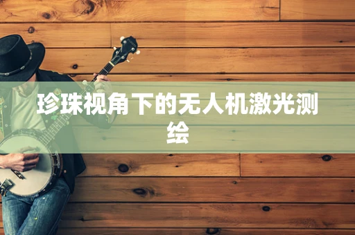 珍珠视角下的无人机激光测绘