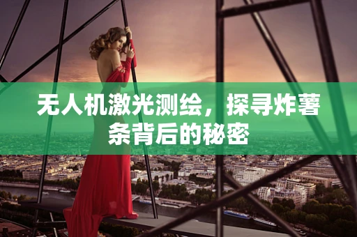 无人机激光测绘，探寻炸薯条背后的秘密