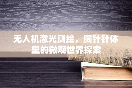 无人机激光测绘，胸针针体里的微观世界探索