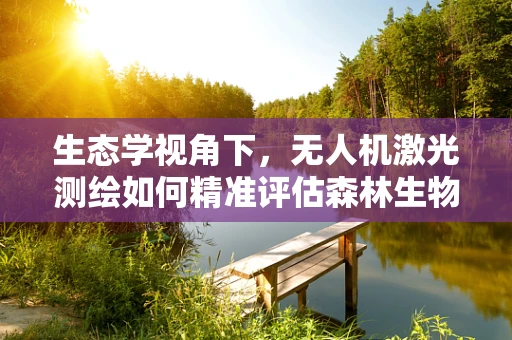生态学视角下，无人机激光测绘如何精准评估森林生物多样性？