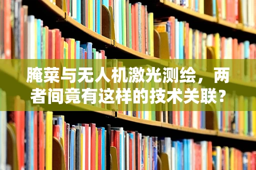 腌菜与无人机激光测绘，两者间竟有这样的技术关联？