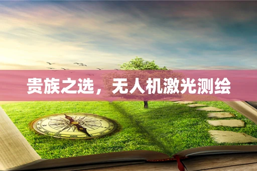 贵族之选，无人机激光测绘